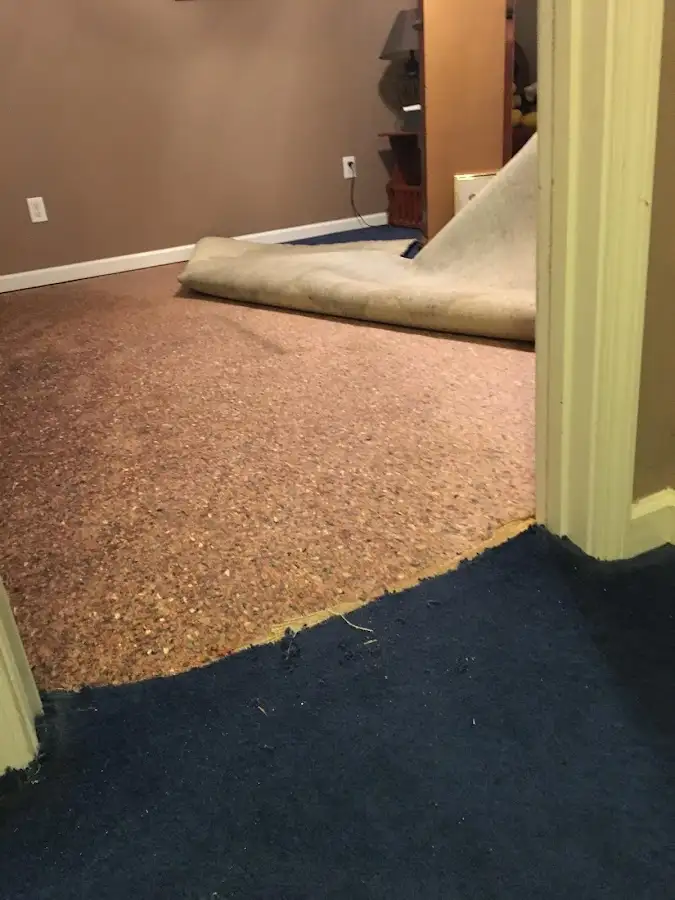 Carpet pad removal revealing water damage during Water Mitigation Services in Mound