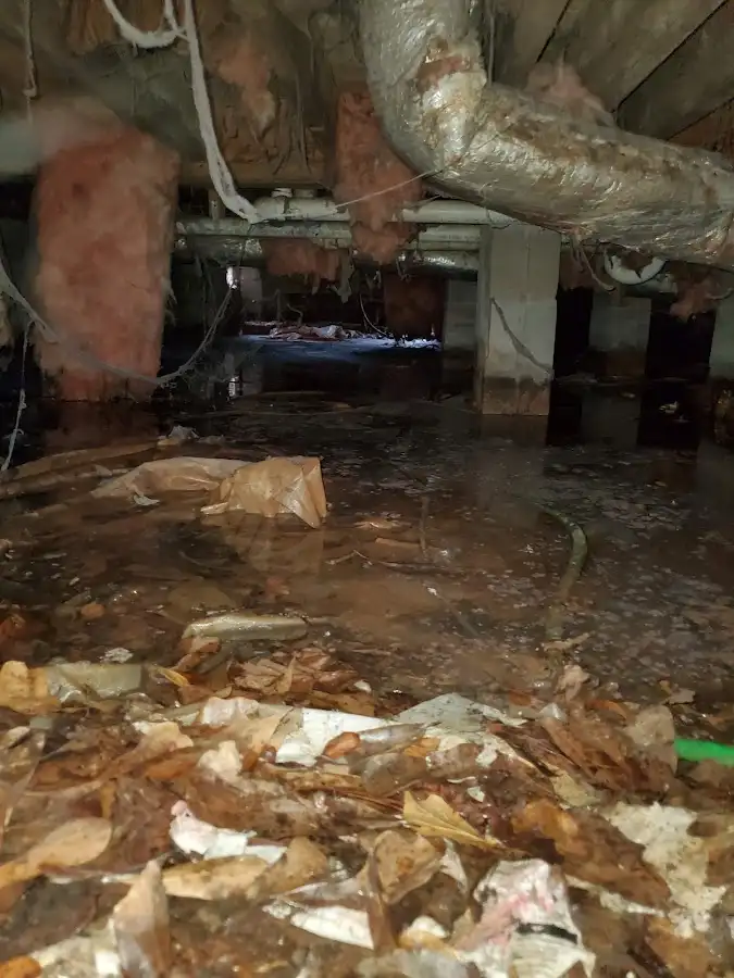 Crawl space flood assessment for Commercial Water Damage Restoration in Mound