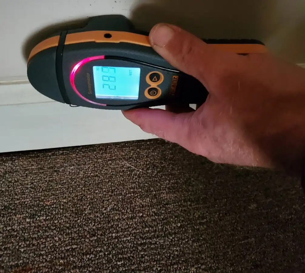 Moisture detection at baseboard during Sewage Cleanup & Sanitation in Mound